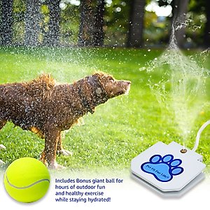 Pet Fit For Life Dog Step-on Sprinkler Dog Toy, Silver