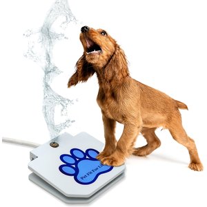 Pet Fit For Life Dog Step-on Sprinkler Dog Toy, Silver