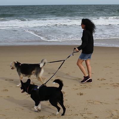 Show full view: Pet Fit For Life Dual Dog Leash with Bowl, Large slide 7 of 9