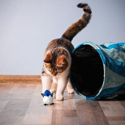 Show full view: Pet Fit For Life Flapping Bird Interactive Cat Toy, Blue slide 5 of 8