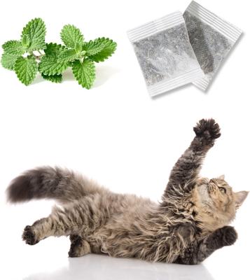 Show full view: Pet Fit For Life Floppy Fish Cat Toy, Multicolor, Medium, 2 count slide 5 of 6