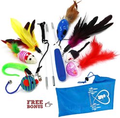 Pet Fit For Life Interactive Wand Teaser, Toys & Storage bag 8 Piece Bundle Cat Toy