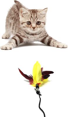 Show full view: Pet Fit For Life Interactive Wand Teaser, Toys & Storage bag 8 Piece Bundle Cat Toy slide 5 of 10