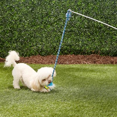 Show full view: Pet Fit For Life Plush Wand Squeaky Dog Toy slide 4 of 9