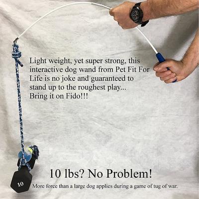 Show full view: Pet Fit For Life Plush Wand Squeaky Dog Toy slide 7 of 9