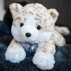 Pet Fit For Life Stuffed Cat with Calming Heartbeat & Heating Pad Plush Cat Toy, Brown, Medium slide 2 of 7