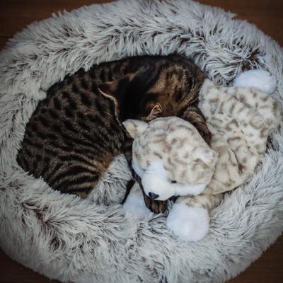 Show full view: Pet Fit For Life Stuffed Cat with Calming Heartbeat & Heating Pad Plush Cat Toy, Brown, Medium slide 3 of 9