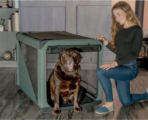 Show full view: Pet Gear 3 Door Insta-Fold Soft Dog Crate, Dark Cypress, 42 inch slide 2 of 5