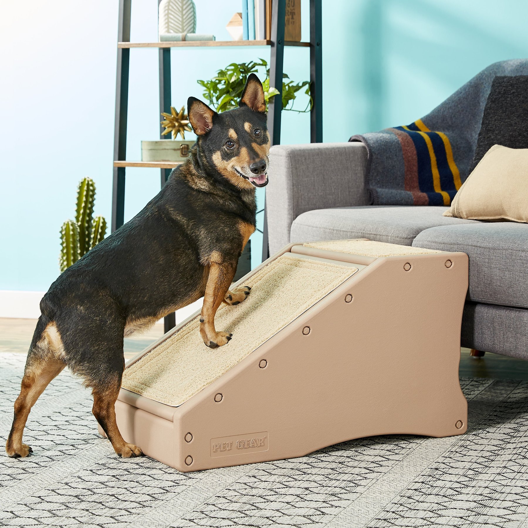 Pet Gear Cat & Dog Stairs & Ramp, Tan