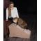 Show in main carousel: Pet Gear Cat & Dog Stairs & Ramp, Tan slide 6 of 9