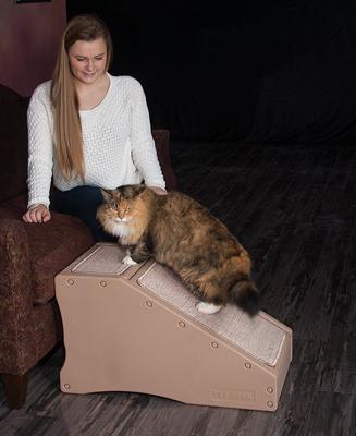 Show full view: Pet Gear Cat & Dog Stairs & Ramp, Tan slide 6 of 9