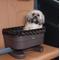 Show in main carousel: Pet Gear Dog & Cat Bucket Seat Booster, Chocolate, 17-in slide 1 of 5