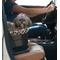 Show in main carousel: Pet Gear Dog & Cat Bucket Seat Booster, Jaguar, 17-in slide 4 of 6