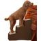 Show in main carousel: Pet Gear Easy Step III Extra Wide Cat & Dog Stairs, Chocolate slide 1 of 7
