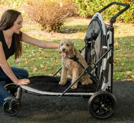 Show full view: Pet Gear Expedition No-Zip Dog & Cat Stroller, Fog slide 5 of 8