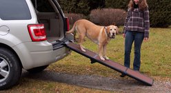 Pet Gear Full Length Tri-Fold Dog Car Ramp, Chocolate / Black