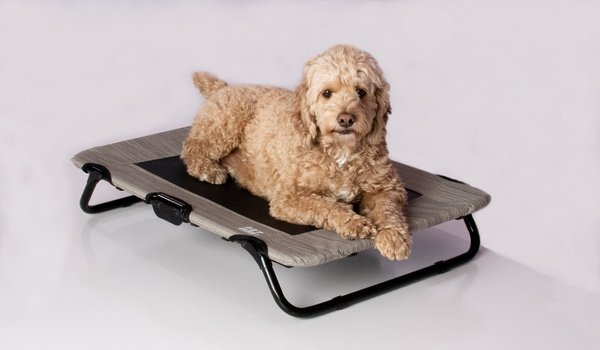 Show full view: Pet Gear Pet Cot Dog Bed, Harbor Grey, 30-in slide 3 of 7
