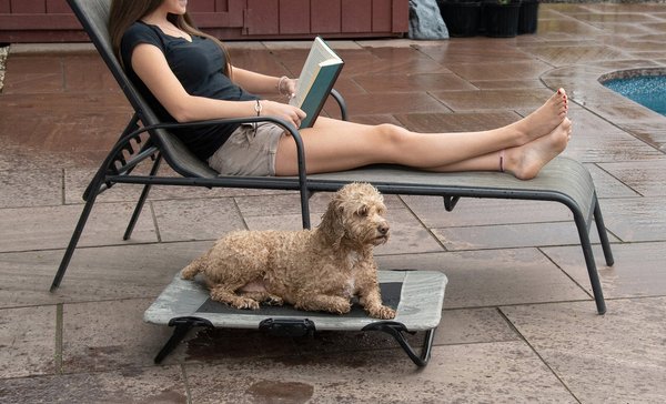 Show full view: Pet Gear Pet Cot Dog Bed, Harbor Grey, 30-in slide 6 of 7