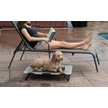 Show in main carousel: Pet Gear Pet Cot Dog Bed, Harbor Grey, 30-in slide 6 of 7