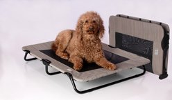 Pet Gear Pet Cot Dog Bed, Harbor Grey, 40-in