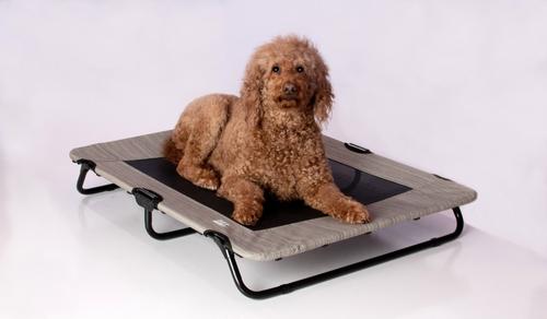 Show full view: Pet Gear Pet Cot Dog Bed, Harbor Grey, 40-in slide 4 of 8