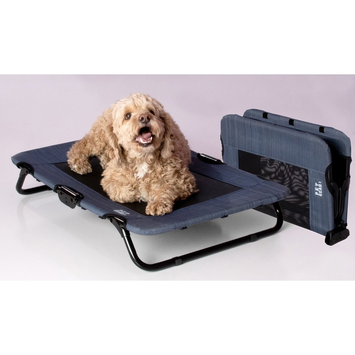 Pet Gear Pet Cot Dog Bed, Lake Blue, 30-in