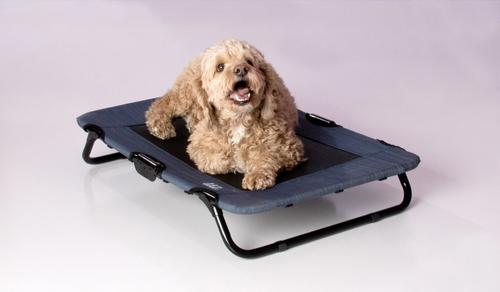Show full view: Pet Gear Pet Cot Dog Bed, Lake Blue, 30-in slide 3 of 7
