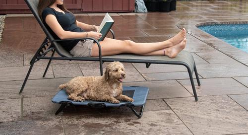 Show full view: Pet Gear Pet Cot Dog Bed, Lake Blue, 30-in slide 6 of 7