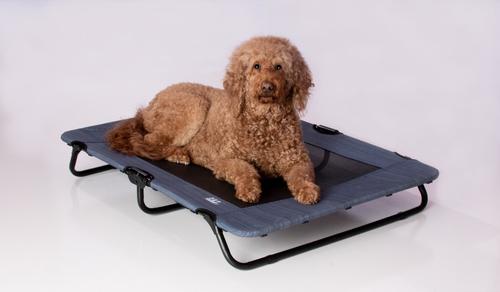 Show full view: Pet Gear Pet Cot Dog Bed, Lake Blue, 40-in slide 4 of 8