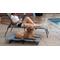 Show in main carousel: Pet Gear Pet Cot Dog Bed, Lake Blue, 40-in slide 7 of 8