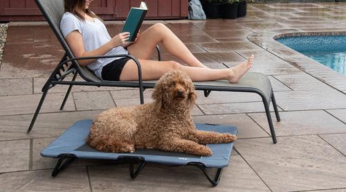 Show full view: Pet Gear Pet Cot Dog Bed, Lake Blue, 40-in slide 7 of 8