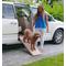 Show in main carousel: Pet Gear Short Bi-Fold Dog Car Ramp, Tan slide 4 of 8