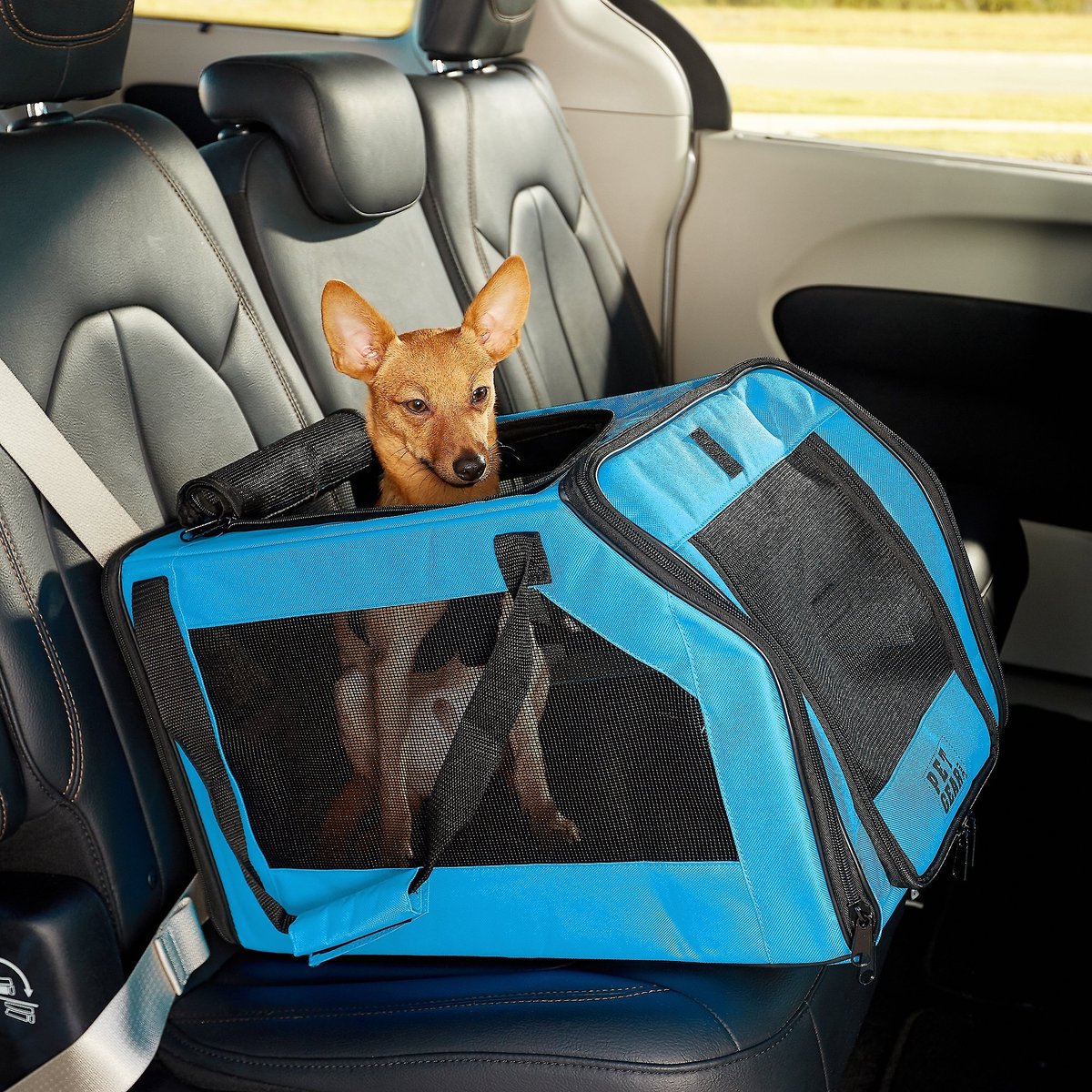 Signature Dog & Cat Car Seat & Carrier Bag, Aqua, Pet Gear
