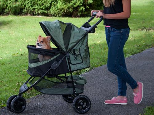 PET GEAR Special Edition No-Zip Dog Cat Stroller, Sage