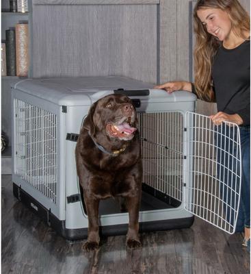 Show full view: Pet Gear The Other 4 Door Steel Dog Crate, Essential Grey, 42 inch slide 2 of 7