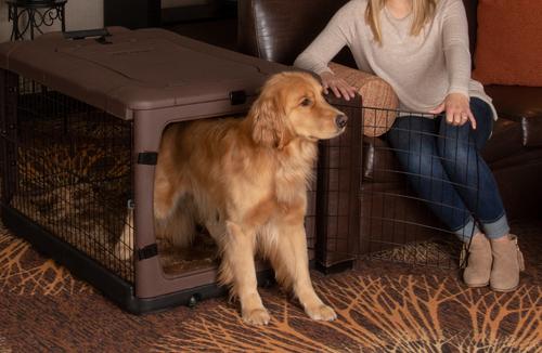 Show full view: Pet Gear The Other Door 4-Door Collapsible Wire Dog Crate & Pad, Chocolate, 42 inch slide 3 of 7