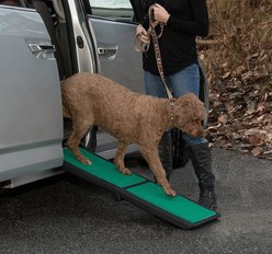 Pet Gear Travel Lite Bi-Fold Dog Car Ramp with SupertraX, Black/Green