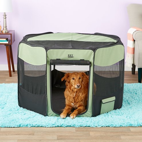 Rabbit Playpens | Chewy