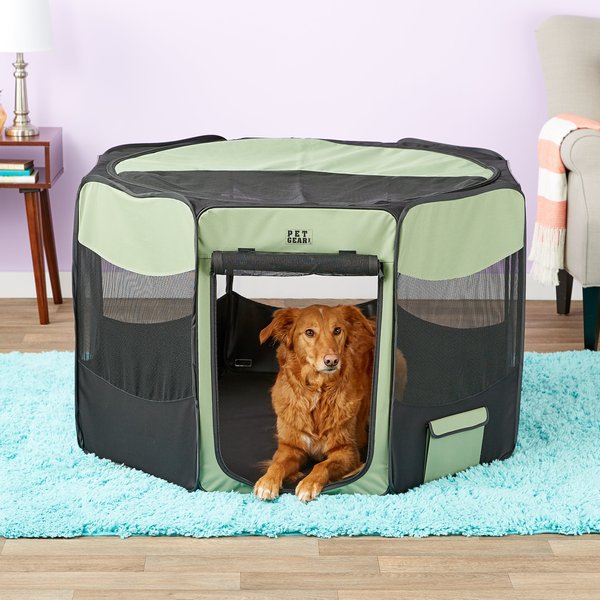 pet gear travel lite
