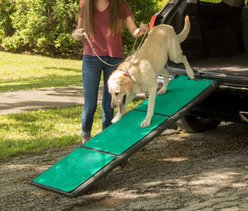 Pet Gear Tri-Fold Dog Car Ramp with Supertrax, Green