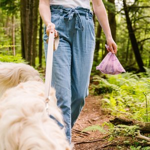 Pet Genie Poop Bags, Lavender Scented, 240 count