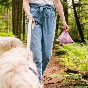 Pet Genie Poop Bags, Lavender Scented, 120 count