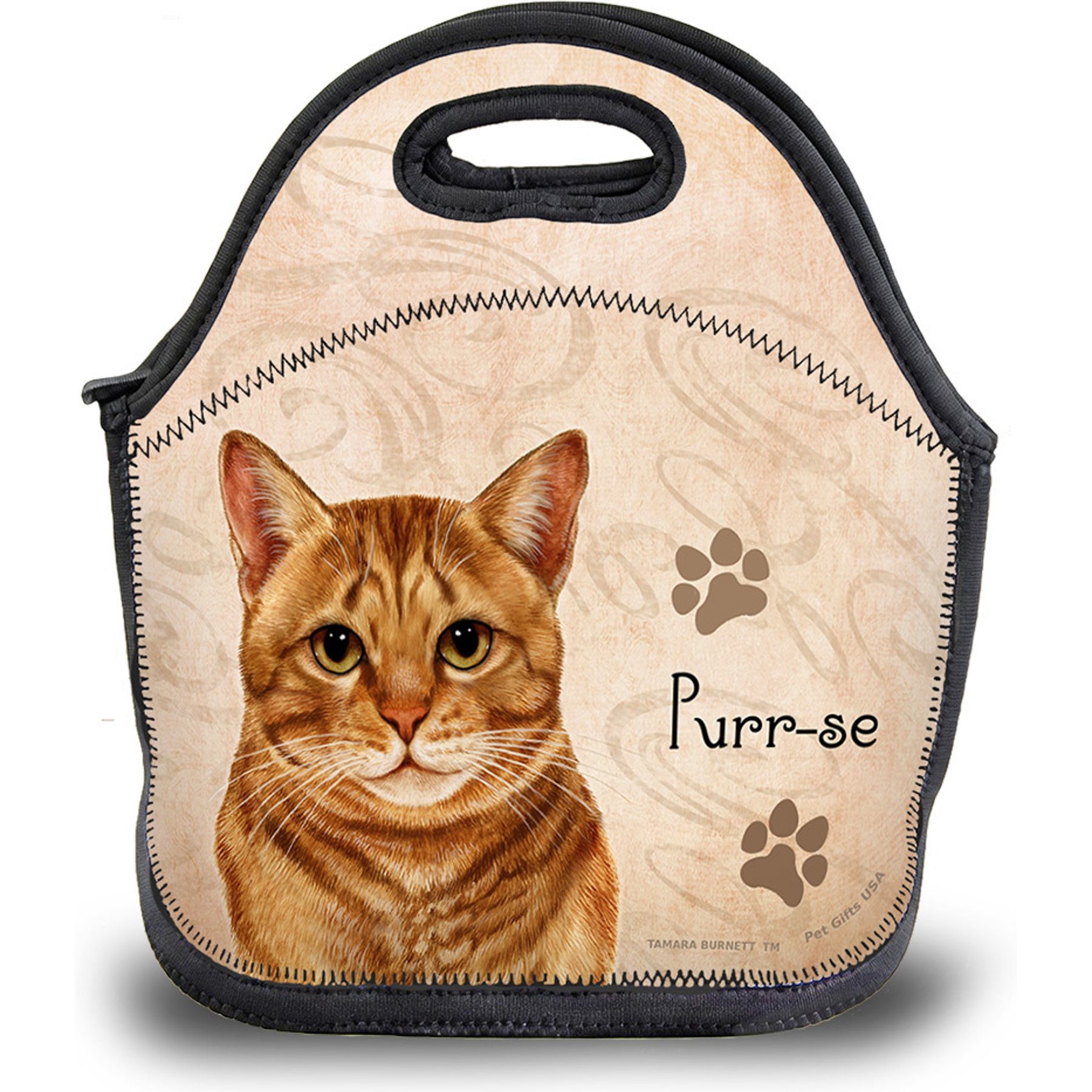 Pet Gifts USA Tabby Orange Pawtastic Lunch Tote Bag, 12 x 12 x 0.5-in