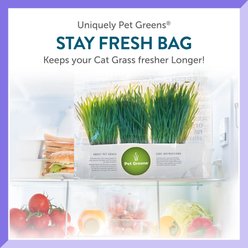 Pet Greens Live Grass Cat Treat, 3 count slide 2 of 8
