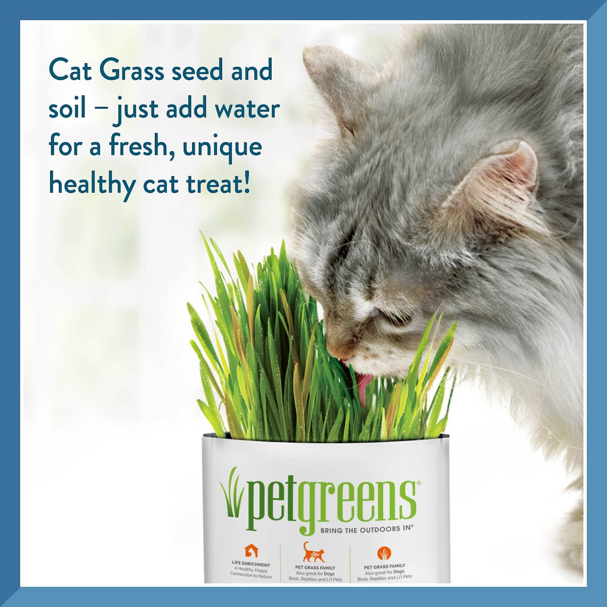 Pet Greens Self Grow Meadow Cat Grass