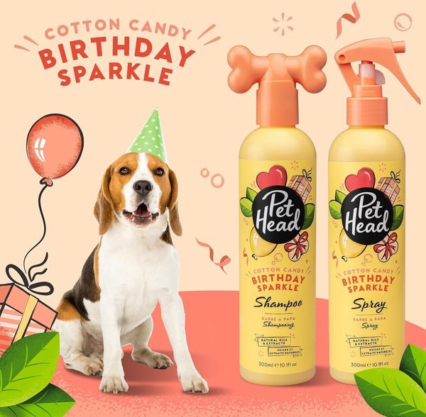 Pet Head Birthday Sweet Scent Dog Deodorizer Spray