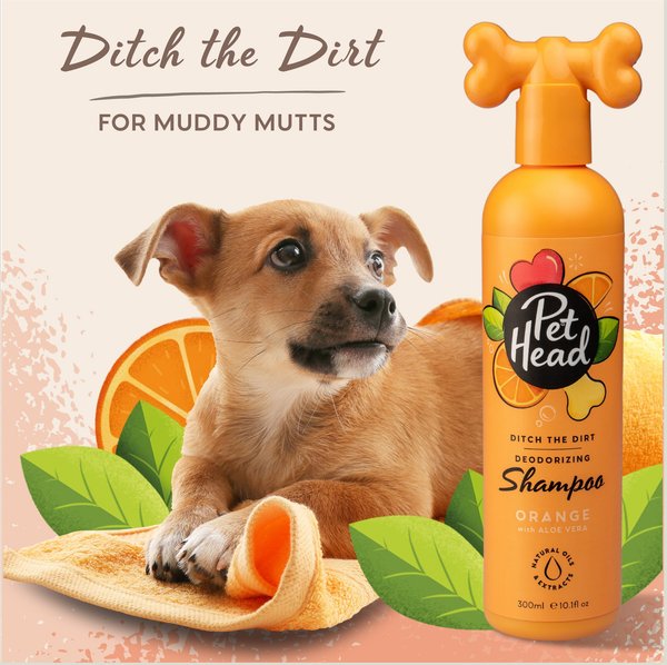 Pet Head Ditch The Dirt Dog Shampoo