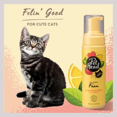 Show full view: Pet Head Felin' Good Foam Vegan Cat Deodorizer, 6.7-fl oz bottle slide 4 of 8