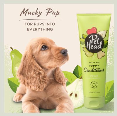 Show full view: Pet Head Mucky Puppy Conditioner for Puppies from 8 Weeks, 8.4-fl oz bottle slide 3 of 7