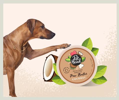 Show full view: Pet Head On All Paws Coconut Cat & Dog Paw Butter Soothes & Nourishes Paws & Noses, 1.4-fl oz jar slide 3 of 8